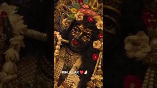 हे मुरलीधर❤️🧿trending viralshort whatsappstatus vrindavan exploremore foryoupage [upl. by Henriques]