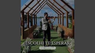 Escolhi Te Esperar Violin Cover [upl. by Olnay]