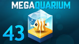 Megaquarium  Part 43  BIG BOI TANK [upl. by Leahkim436]