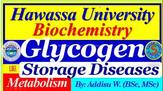 Glycogen Storage Diseases glycogenesis glycogenolysis glycogen metabolism [upl. by Sanalda]