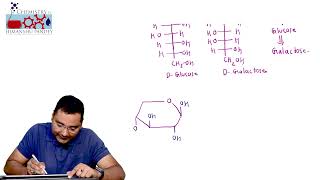 Lecture13 Structure of Lactose [upl. by Killarney747]