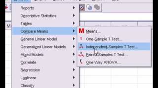 SPSS Independent Samples Ttests [upl. by Secunda96]