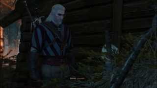 The Witcher 3 Lets Play Die frau des Barons so gehts [upl. by Wohlert]