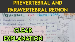 Prevertebral and para vertebral regions [upl. by Adnar]