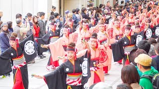 4K濱長 花神楽 土佐のおきゃく2018 よさこい春の舞 京町商店街 [upl. by Arol582]