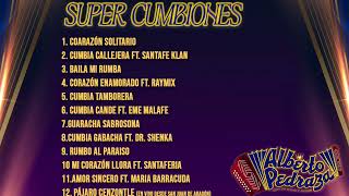 Alberto Pedraza  Super Cumbiones Mix 2024 [upl. by Quintin]