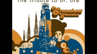 The Next Episode  Vitamin String Quartet Tribute to Dr Dre [upl. by Walston638]