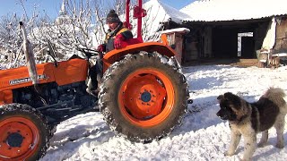 Tractor UTB 445 dt🚜👀👌recondiționatRestored classic romanian rare tractor [upl. by Blatman]