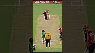 Best wicket taking moments shorts cricket edit psl cricketclub cricketlover indvsban [upl. by Hyacinthe]