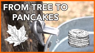 Making Maple Syrup at Home Start to Finish [upl. by Adnopoz]