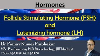 Gonadotropins Follicle Stimulating Hormone FSH and Luteinizing hormone LH [upl. by Uba]