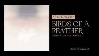 BIRDS OF A FEATHER  Billie Eilish Remix by Vermicelli  Instrumental Version [upl. by Neraa]