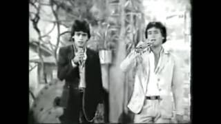 leandro e leonardo  dupla traicao musica ano 1983 [upl. by Neeluj]