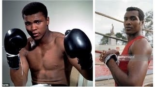 TEOFILO STEVENSON VS MUHAMMAD ALI COMPARISON [upl. by Aylmar]