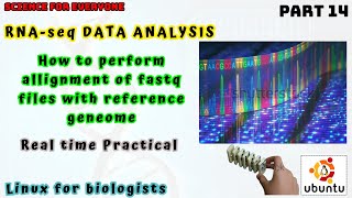 Mastering RNASeq  StepbyStep Guide to Reference Genome Alignment with FASTQ Files [upl. by Amlas]