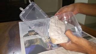 How to make a DIY plaster cast  box nest for ants  formicarium [upl. by Vardon]