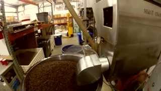 Coffee Roasting at Ravens Brew Coffee [upl. by Haggi]