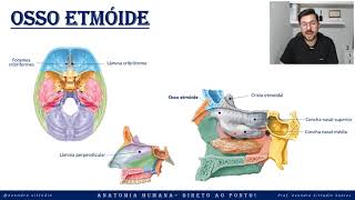 Osso etmóide  Anatomia do crânio  Sistema esquelético  Anatomia direto ao ponto [upl. by Ahsilef209]