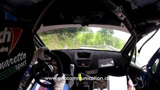 Domenico Erbetta  Rally 1000 Miglia 2017  Ps 4 quotCavallinoquot [upl. by Missi]