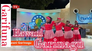 Grupo Folklórico Hawani Garinagu desde Livingston Izabal [upl. by Papp]