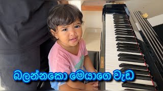 බලන්නකො මෙයාගේ වැඩ  unedited  behind the scenes  sheshadrie krishan krisharya [upl. by Duane532]