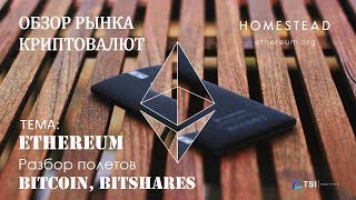 Ethereum — разбор полёта Bitcoin BitShares  Обзор TSI Analytics [upl. by Peterson545]