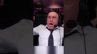 The Best Joe Rogan KO Reaction [upl. by Rehpotsirhc614]