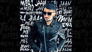 MERI JAAN  Nafees  Official Song  2019 [upl. by Horn131]