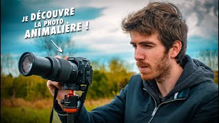 Ma première expérience en photo animalière 🦊 [upl. by Kunin571]