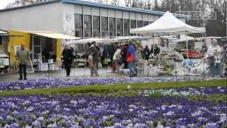 Spezialmarkt „du und dein gartenquot im egapark Erfurt [upl. by Scheer]