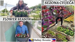 Sezona je cvijeća hajde da kupimo cvijeće  Its flower season Lets buy some flowers [upl. by Bohun343]