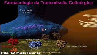 Farmacologia da Transmissão Colinérgica [upl. by Veneaux]