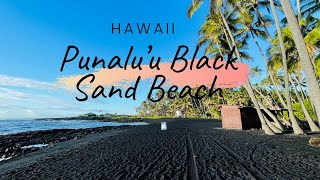 Punaluu Black Sand Beach in Big Island Hawaii  VLOG [upl. by Yssac]