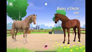 Poulain de Bouncy et chester partie 1 [upl. by Yruj]