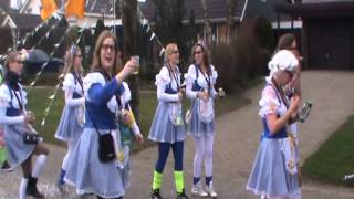 Carnavals optocht Azewijn 2014 [upl. by Nosnek]