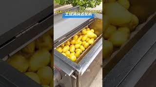 Cleaning and peeling machine I am a manufacturer potatopeelingmachine food [upl. by Korey]