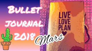 Mon Bullet Journal  mars 2018 [upl. by Kowal319]