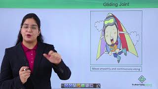 Class10th – Gliding joint  Locomotion and Movement Hindi  Tutorials Point [upl. by Tolecnal522]