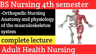 Orthopedic Nursing Anatomy and Physiology of the Musculoskeletal System Adult health Nursing 2 [upl. by Azeel639]