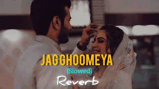 JagGhoomeyaslowedReverblofisongFatehAliKhan2024lofi go 360p [upl. by Auka]