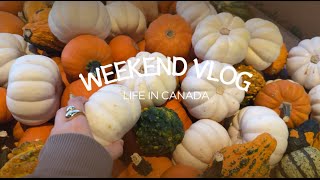 Vlog  13  Weekend Vlog My Life in Canada 🇨🇦 [upl. by Hepza]