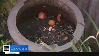 California requiring residents to compost their food scraps [upl. by Waters]