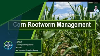 Ground Breakers Corn Rootworm Management [upl. by Entsirhc]