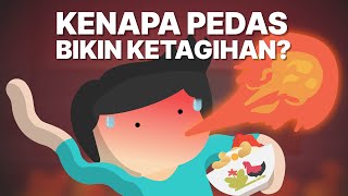 Kenapa Pedas Bikin Ketagihan [upl. by Welbie]