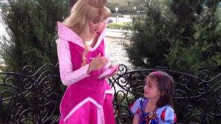 Meeting Princess Aurora at Walt Disney World Epcot Center [upl. by Fraase896]