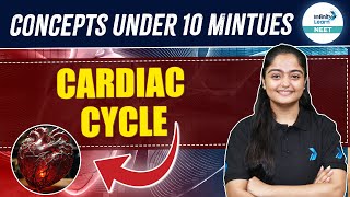 Cardiac Cycle Made Easy Understanding Heart Mechanics  NEET 2025 Biology  Class 11 [upl. by Robinet25]