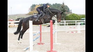 FOR SALE training Taifun 2019 Ideal de la Loge x Peter Pan 1024 [upl. by Merci158]