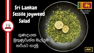 Sri Lankan Sessile Joyweed Leaves Salad  Salad Recipe  YummybyDanuShashi [upl. by Rainer125]