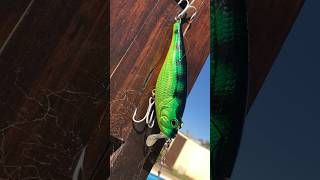 Crankee Bass 120 mm Strike Pro lure action bass thailand pesca fishing señuelo fishingpro [upl. by Nomzzaj]