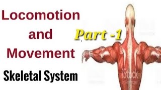 Movement amp Locomotion Part 1  Human Anatomy and Physiology By Laxmi kant sir [upl. by Nguyen305]